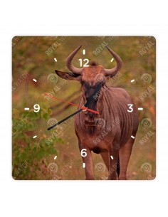 Gnu pręgowane