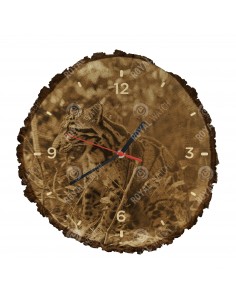 Levhart obláčkový