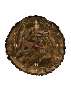 Levhart obláčkový