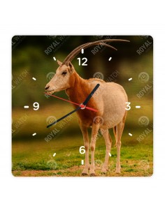 Priamorožec šabľorohý