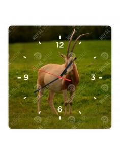 Priamorožec šabľorohý