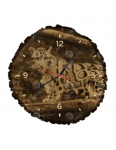 Levhart obláčkový