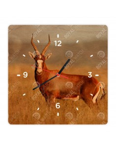 Blesbok antelope