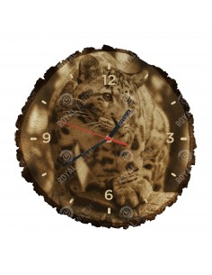 Levhart obláčkový