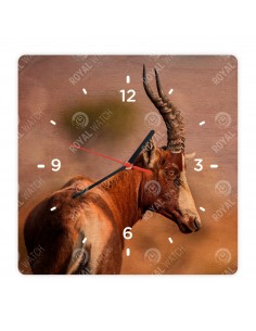 Antylopa Blesbok