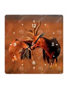 Blesbok antilop
