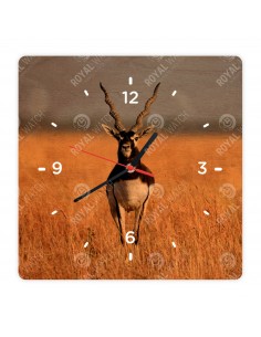 Hirschziegenantilope