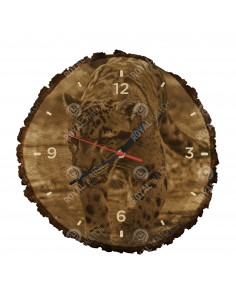 Levhart obláčkový