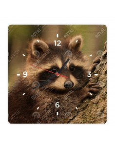 Енот-полоскун