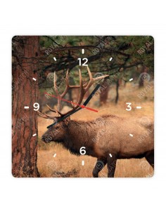 Wapiti