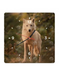 Polarwolf