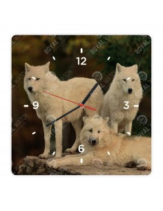 Polarwolf