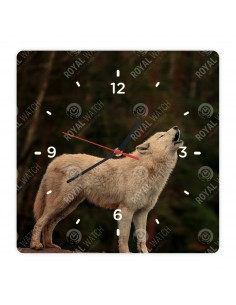 Polarwolf
