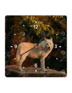 Polarwolf