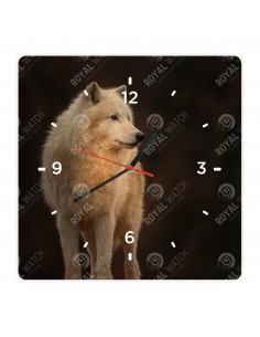 Polarwolf