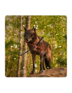 Черный волк