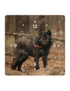 Schwarzer Wolf