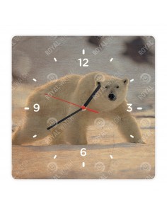 Niedźwiedź polarny