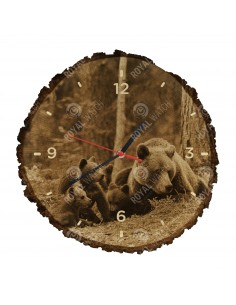 Braunbär