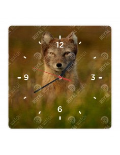 Arctic fox