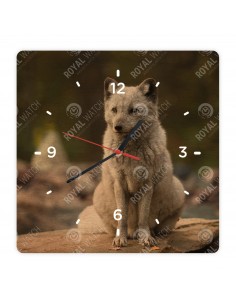 Polarfuchs