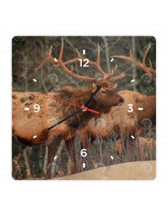 Wapiti