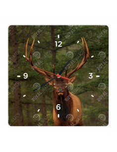 Wapiti