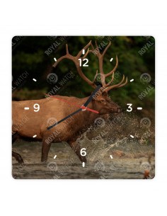 Wapiti