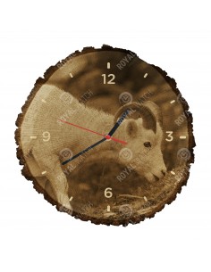 Баран Далла