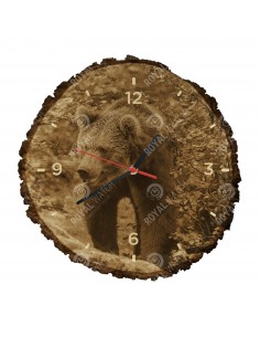 Braunbär