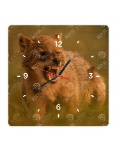 Обыкновенный шакал