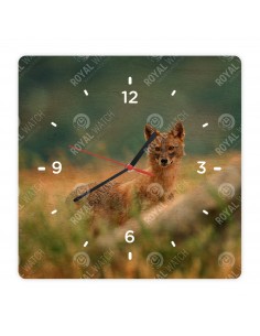 Обыкновенный шакал