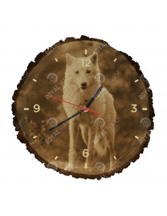 Полярный волк