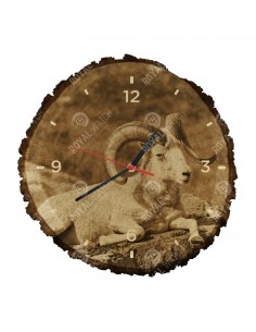 Баран Далла