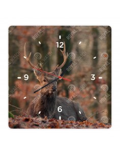 Sika Deer