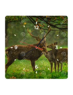 Sika Deer