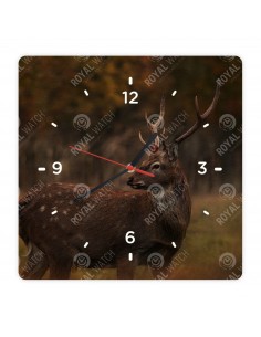 Sika Deer