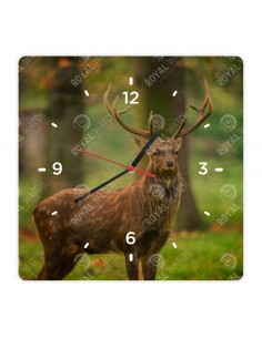 Sika Deer