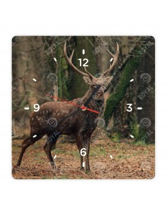 Sika Deer