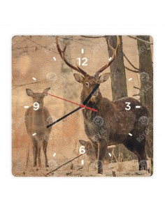 Sika Deer