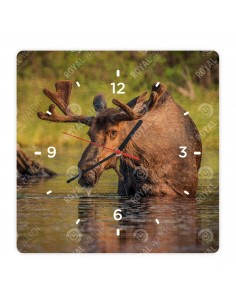 Los evropský