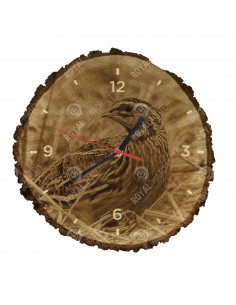 Przepiórka zwyczajna