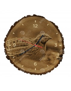 Przepiórka zwyczajna