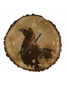 Birkhuhn