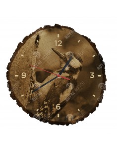 Buntspecht