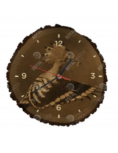 Удод