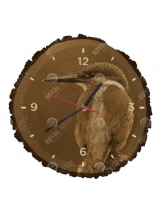 Eisvogel