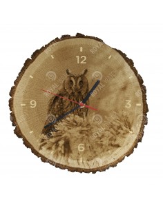 Long-eared owl
