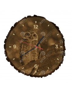 Браминский сыч