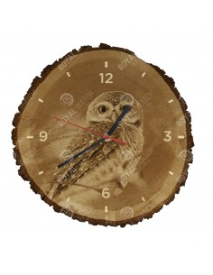 Sýček brahmínský